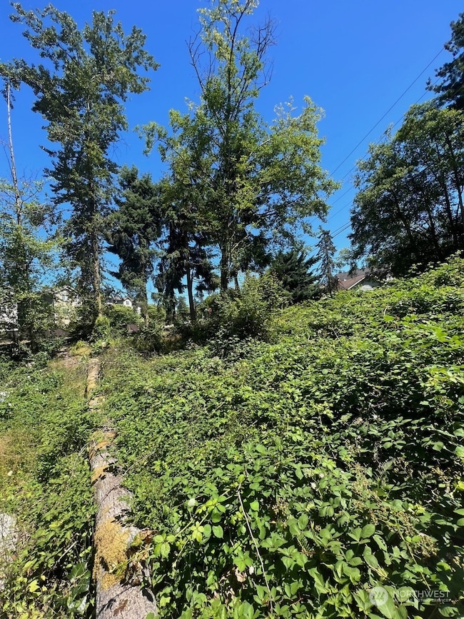 14000 Center Rd, Everett, WA 98204 - photo 6