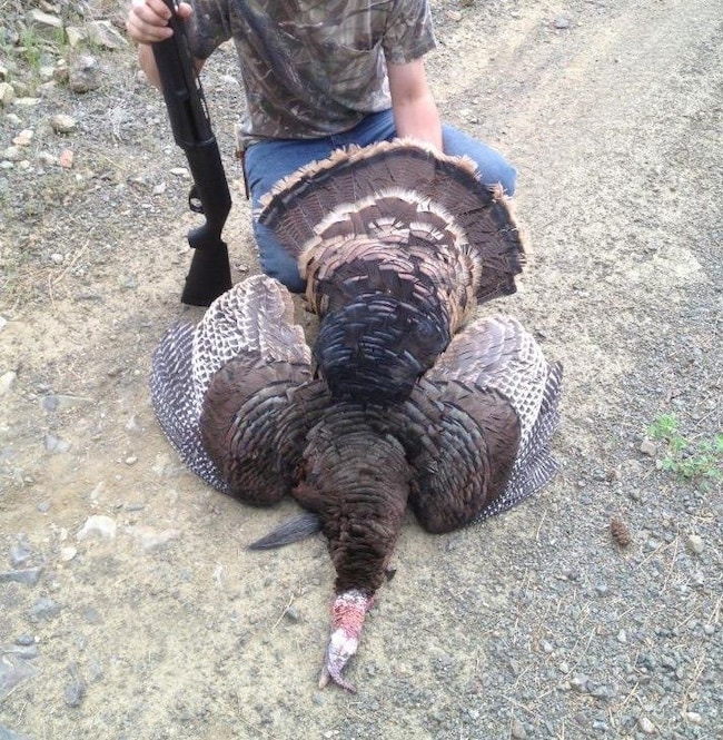 52960 Cummings Creek Rd, Mount Vernon, OR 97865 - photo 4