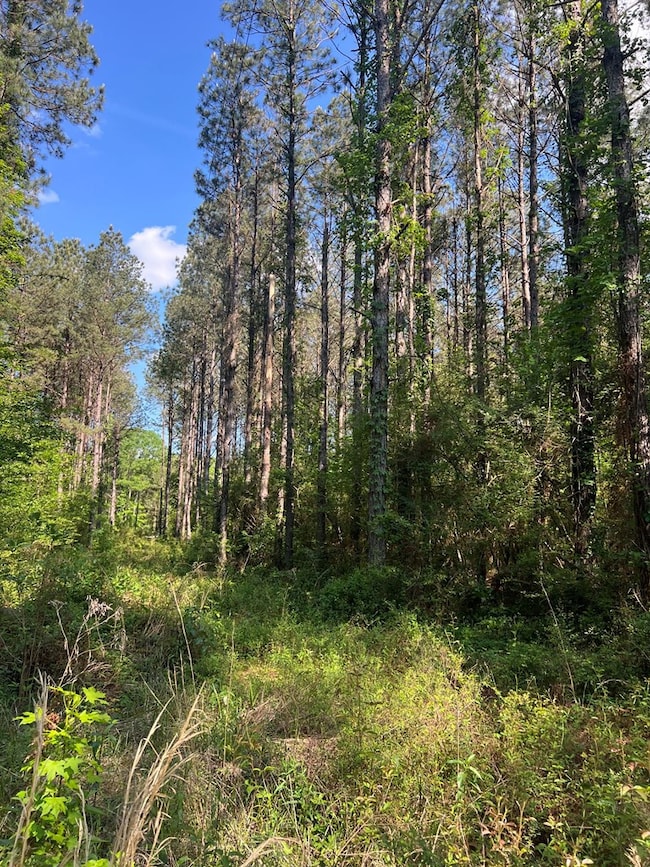 1049 Candy Ln, McComb, MS 39648 - photo 3