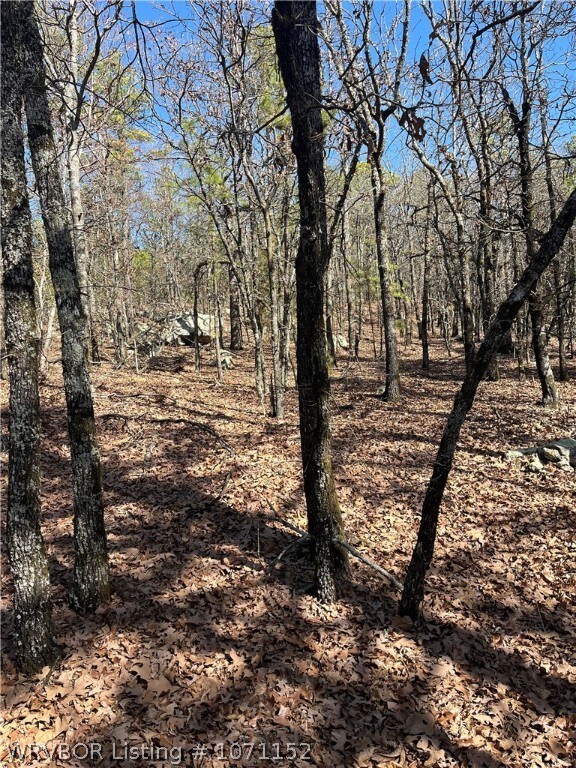 TBD 1156th Ave, Red Oak, OK 74563 - photo 3