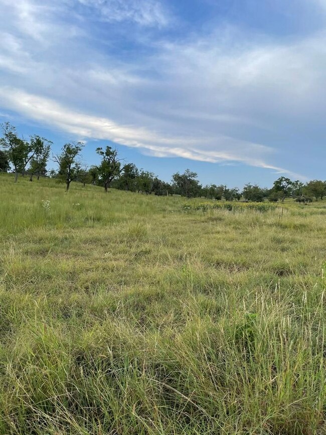 77 Last Trail, Fredericksburg, TX 78624 - photo 4