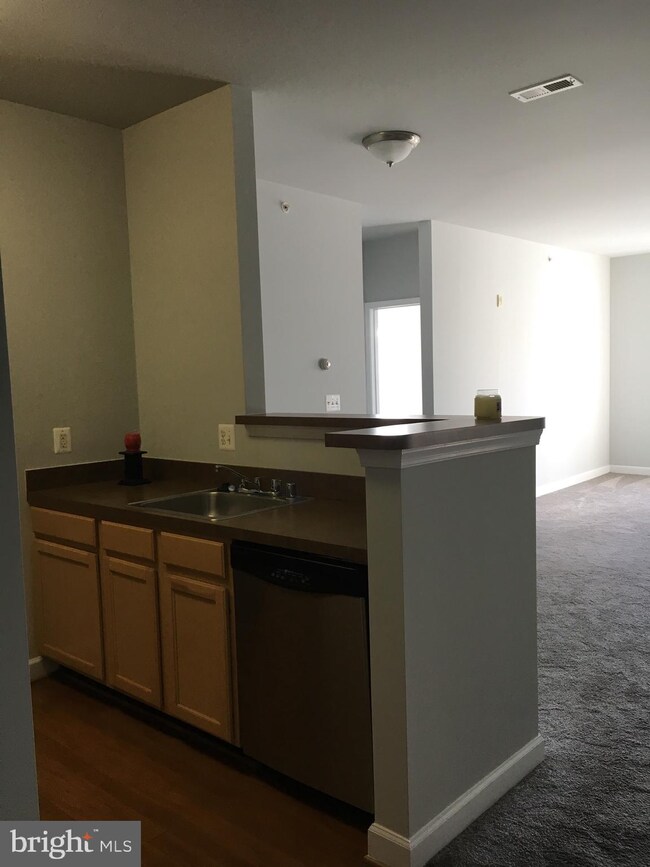 22655 Blue Elder Terrace unit 303, Ashburn, VA 20148 - photo 4