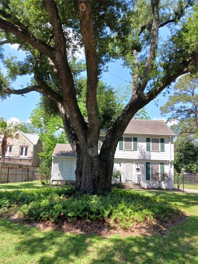 3105 Lawrence St, Houston, TX 77018 - photo 3
