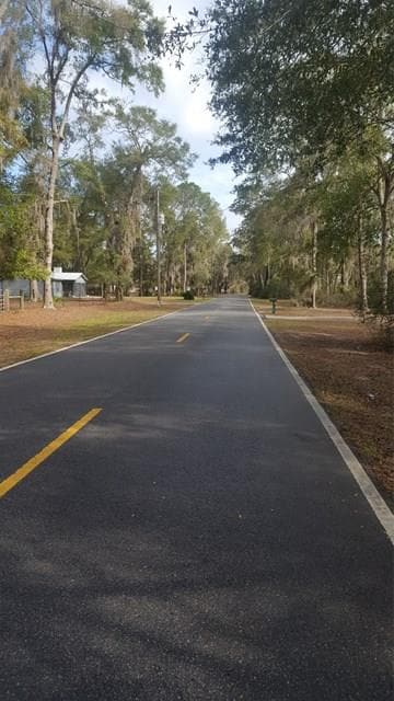 A & B Franklin St, Darien, GA 31305 - photo 4