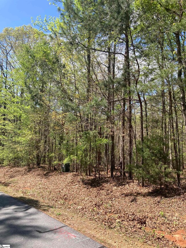 0 E Watersedge Dr unit 1553289, Fair Play, SC 29643 - photo 4