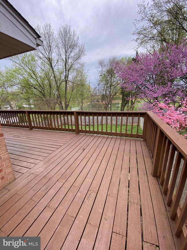 367 W 11th St, Front Royal, VA 22630 - photo 3