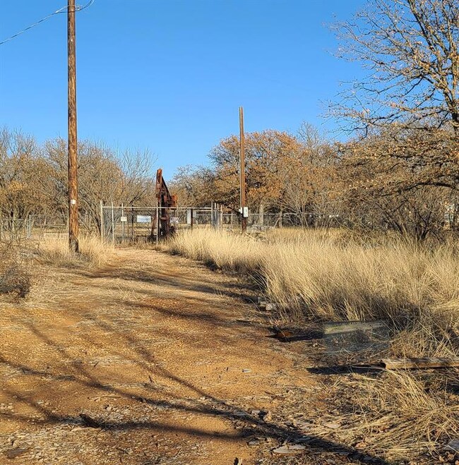 10179 County Road 130, Brownwood, TX 76801 - photo 2