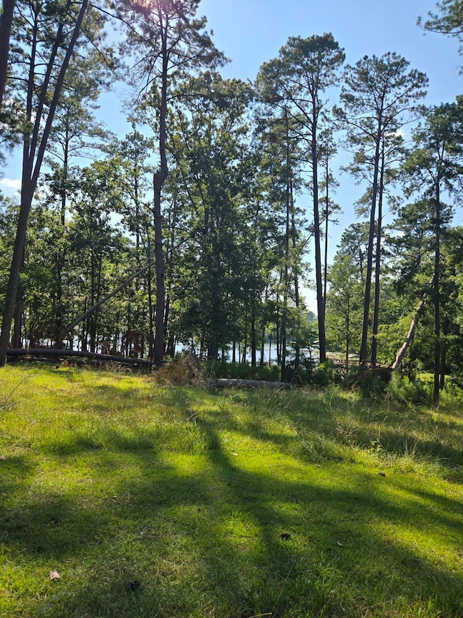 20250707_171851_resized