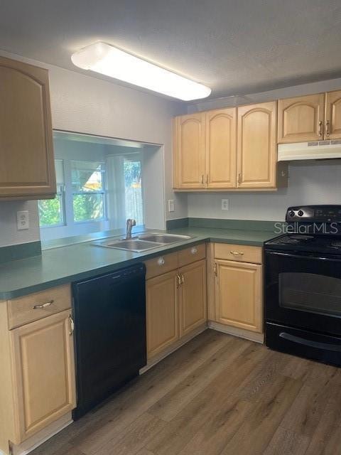 3741 Kingsbury Dr, Holiday, FL 34691 - photo 2