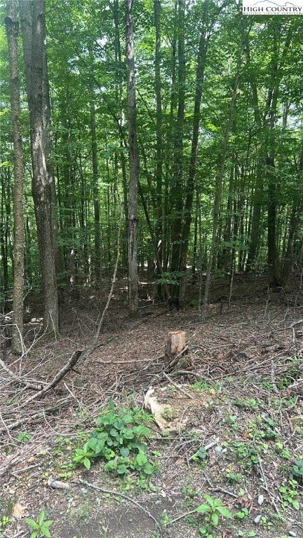 113 Arrowhead Rd, Beech Mountain, NC 28604 - photo 5