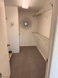 5635 Rattlesnake Hamm Rd unit D-204, Naples, FL 34113 - photo 7