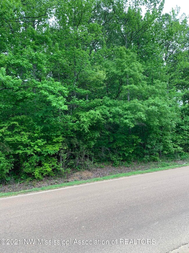0 S Old Hwy 51 unit 2335199, Hernando, MS 38632 - photo 2