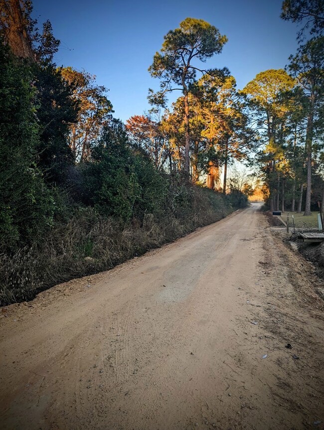 Russell Smith Road Looking North