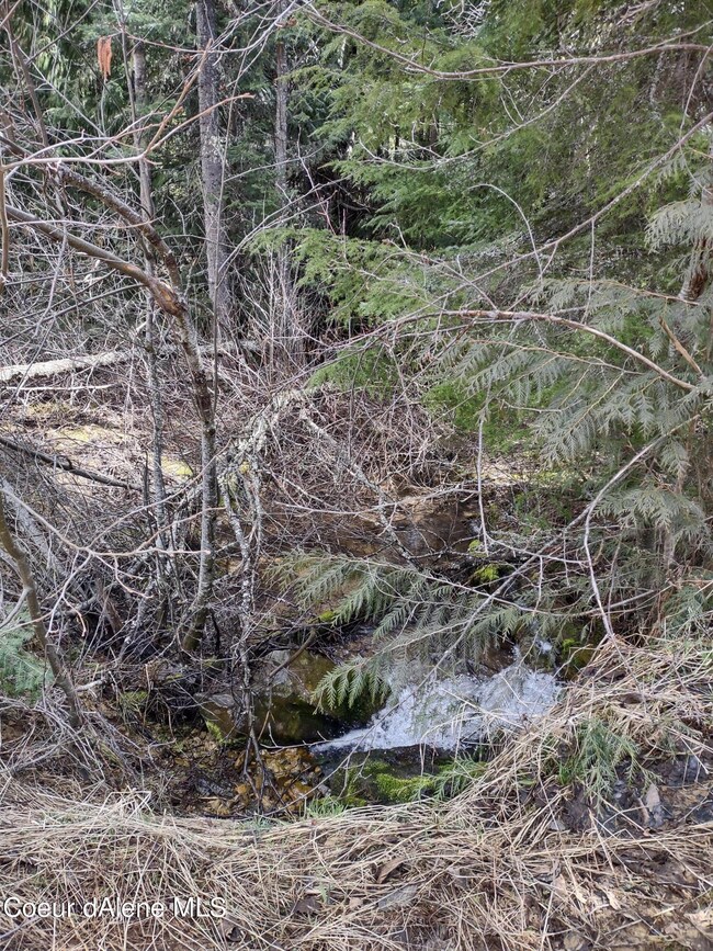 IMG_20220423_113333965_HDR