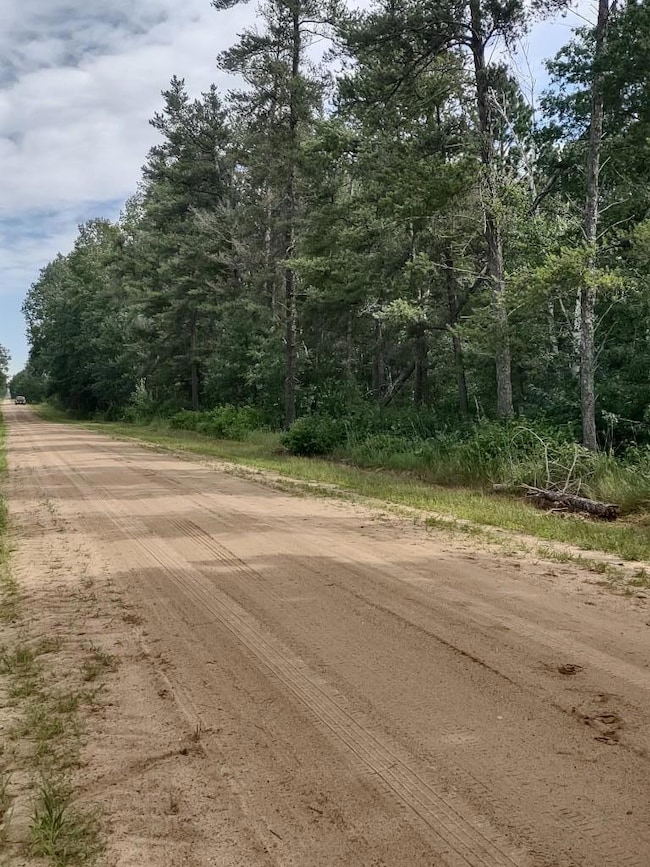 XXXX 159th Ave, Sebeka, MN 56477 - photo 5