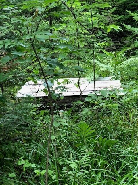Private water spring!