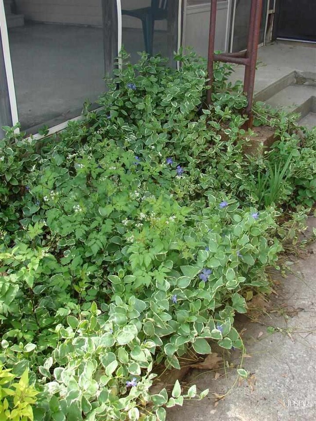 4728 E 650 S, Bluffton, IN 46714 - photo 2