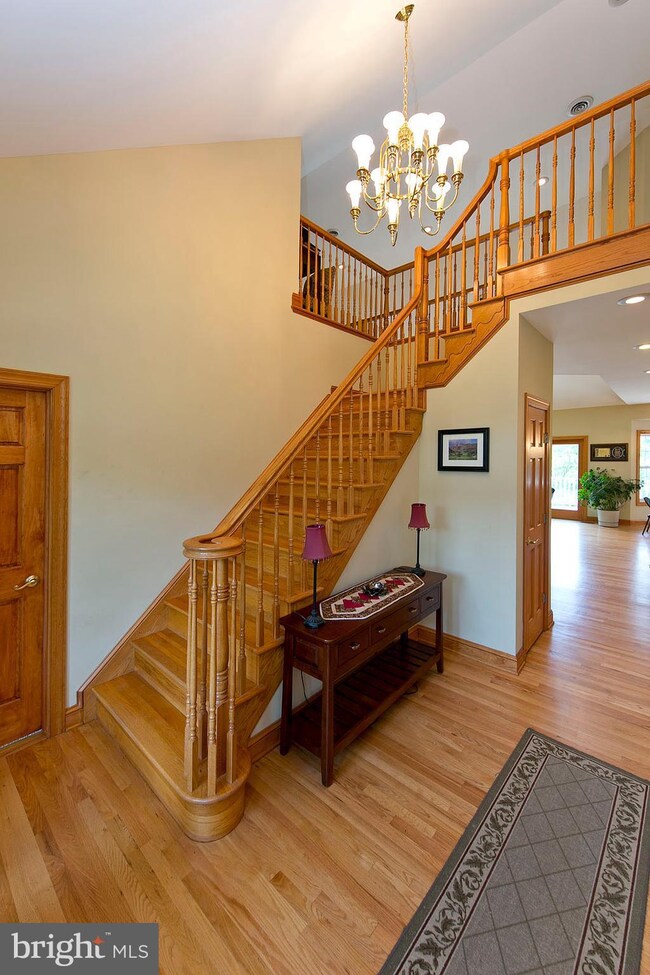 153 Signal Ct, Strasburg, VA 22657 - photo 7