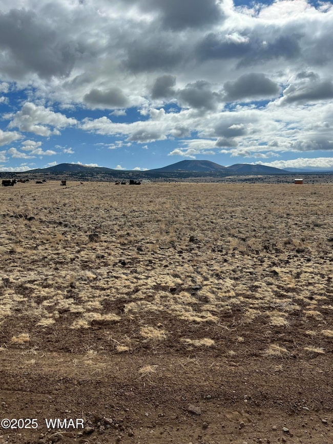 500 N3540, Concho, AZ 85924 - photo 3