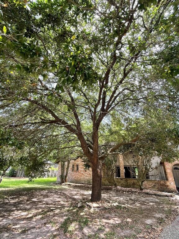 11311 Hylander Dr, Houston, TX 77070 - photo 6