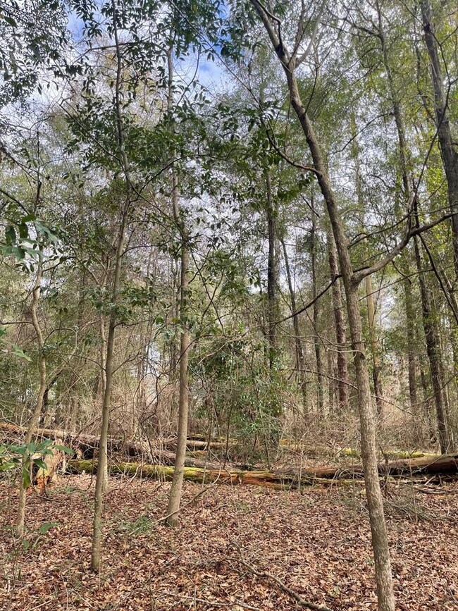 0 Choctaw Dr, Eufaula, AL 36027 - photo 7