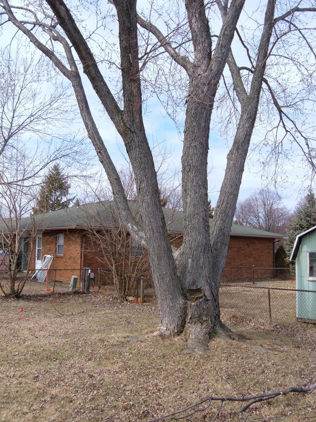 Beechcroft back yard