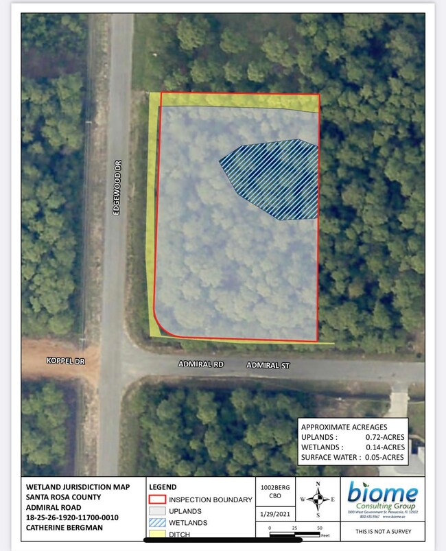 Wetlands Report Photo