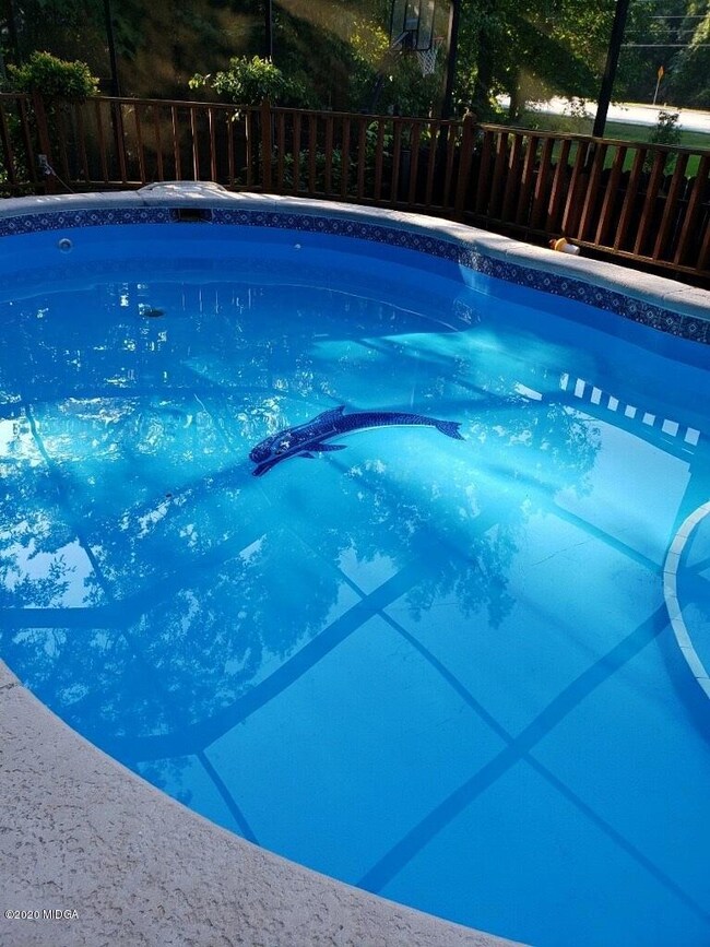 5007zebulonPool