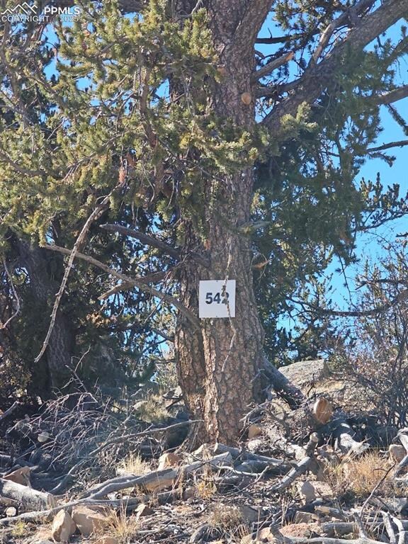 5585 Middle Fork Vista, Fairplay, CO 80440 - photo 2