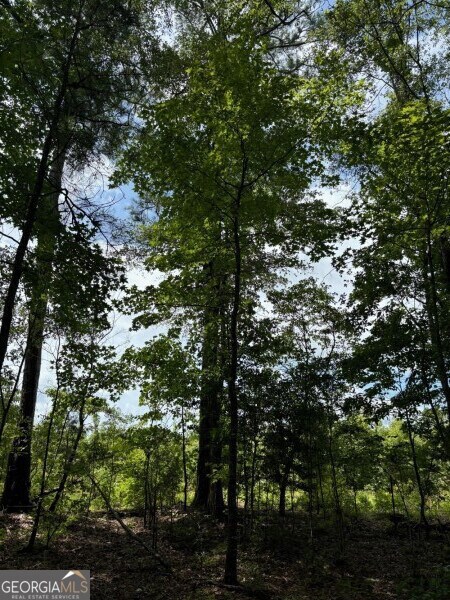 0 Chappell Mill Rd unit 10576810, Milner, GA 30257 - photo 7