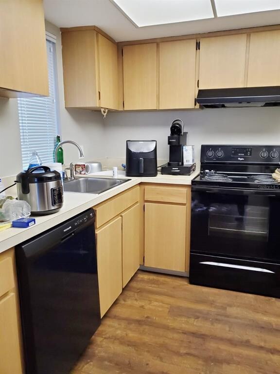 Updated Kitchen Sink