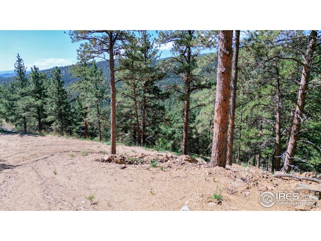 Site pad ready for small cabin