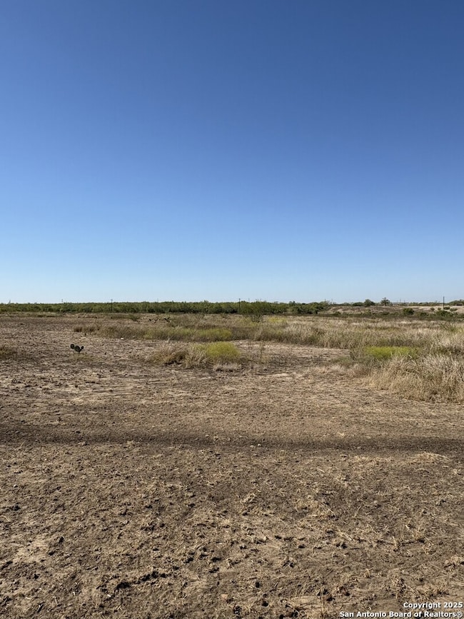 1446 County Road 332, Charlotte, TX 78011 - photo 2