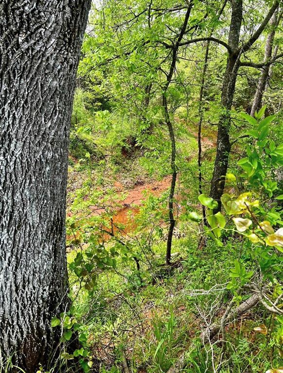 0 Harrison unit 1109428, Tecumseh, OK 74873 - photo 3