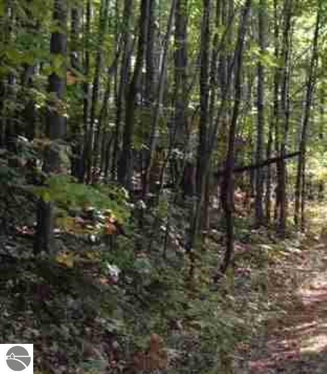 0 Morrison Rd unit 1899385, Alger, MI 48610 - photo 3