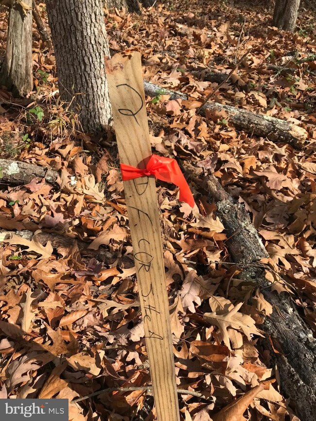 LOT 32A Orange Springs Rd, Unionville, VA 22567 - photo 7