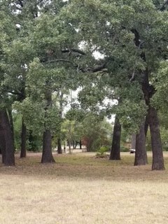 2023 E Dove Rd, Southlake, TX 76092 - photo 5