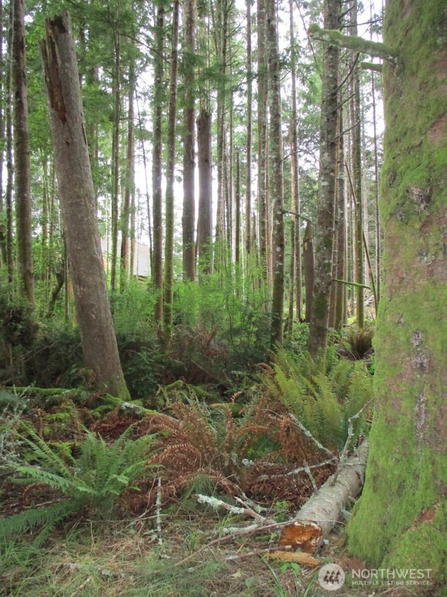 111 Olympic View Ave NE, Ocean Shores, WA 98569 - photo 4