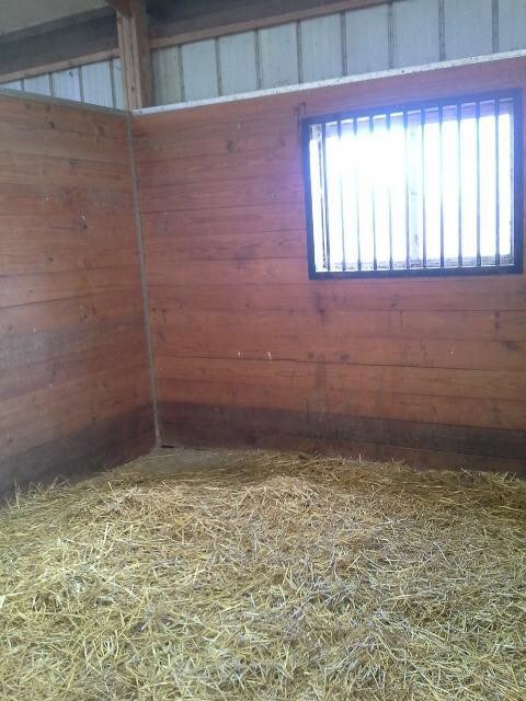 90 End of The Rd, Versailles, KY 40383 - photo 5