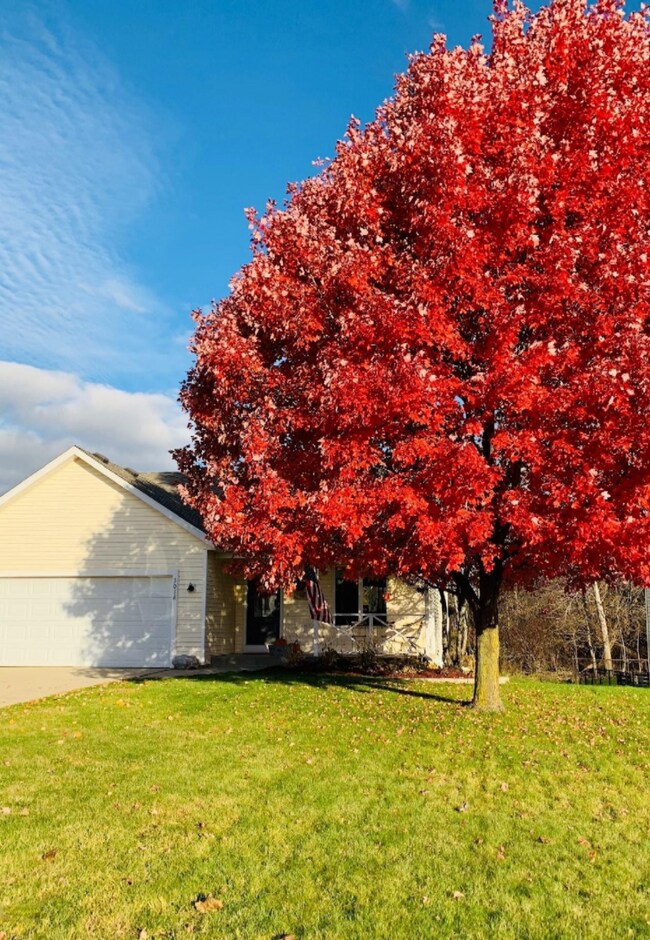 autumn tree