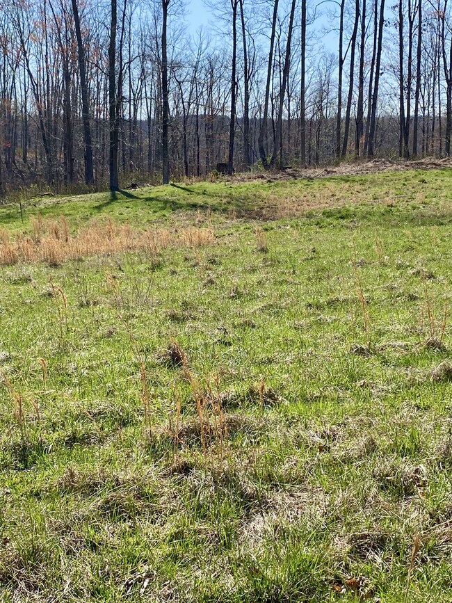 0 Backbone Rd unit RTC2808575, Sparta, TN 38583 - photo 5