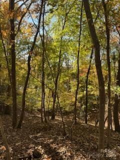 300 Rivercliff Dr, Stony Point, NC 28678 - photo 4