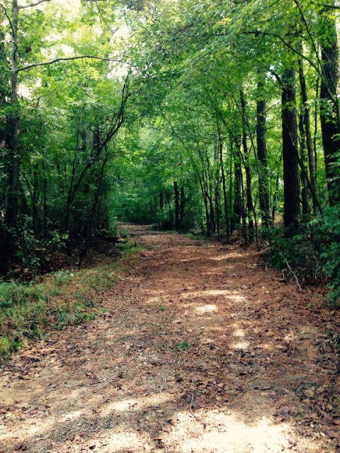 5078 Hardy McManus Rd, Evans, GA 30809 - photo 3