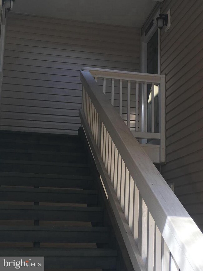 4550 28th Rd S unit D, Arlington, VA 22206 - photo 4