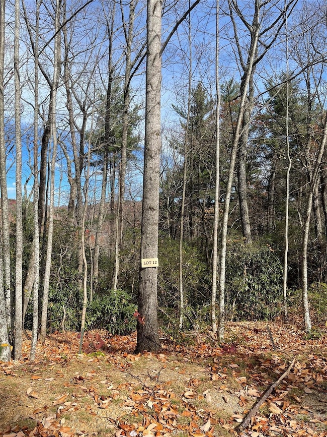 000 Eagle Ridge Rd, Zirconia, NC 28790 - photo 2