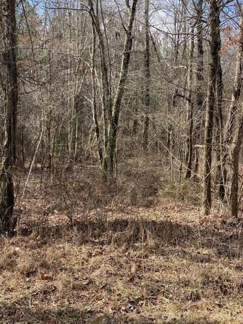 Lot 14 Thomas Springs Rd, Crossville, TN 38572 - photo 4