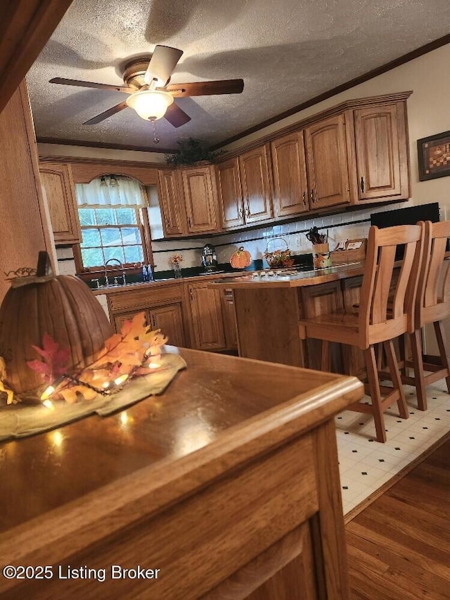 2043 Lock Rd, Carrollton, KY 41008 - photo 4