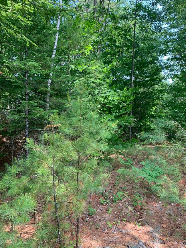 Lot 26 Mockingbird Ln, Bridgton, ME 04009 - photo 3