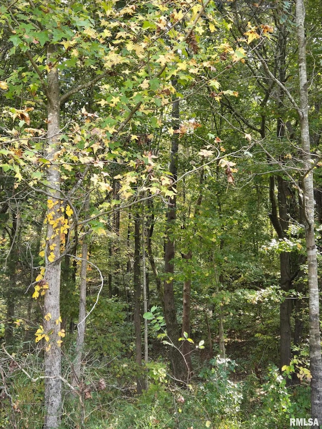 TBD State Highway 145 S Hwy, Metropolis, IL 62960 - photo 4