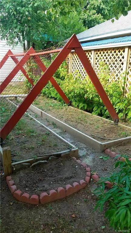 Raised vegetable garden with raspberry bushes all 